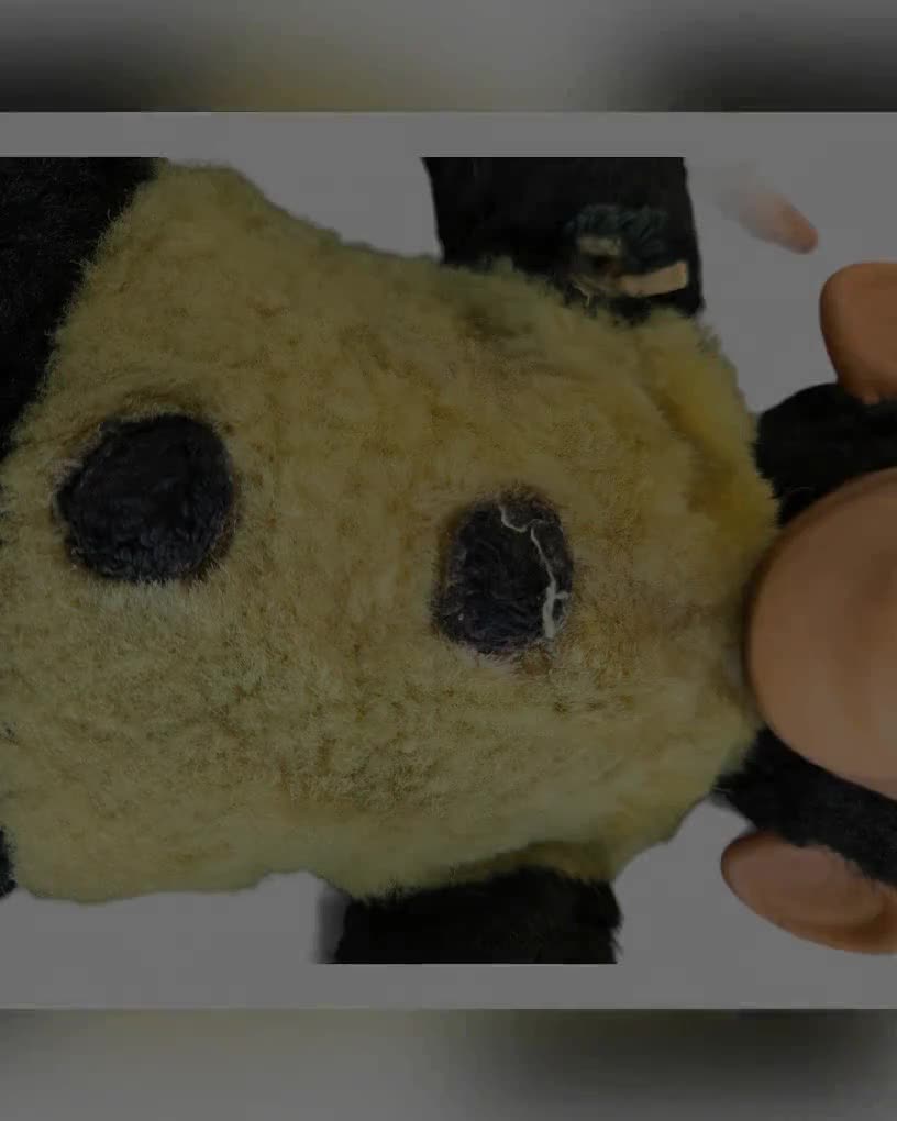 オールドウインターマン、テディベア Vintage 1950s Zippy Zim Plush Monkey: MCM Rubber Face Doll